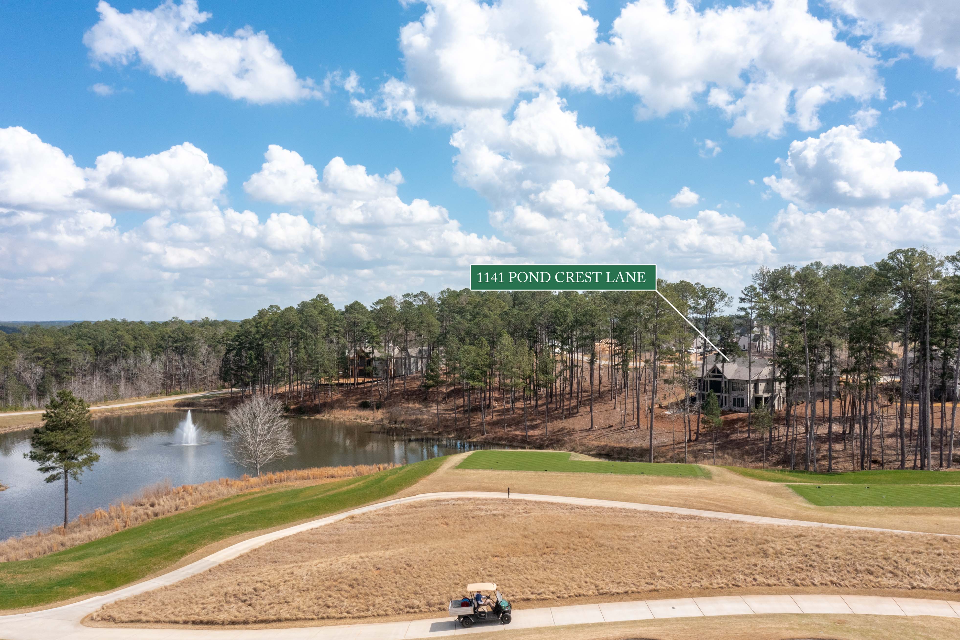 1141 Pond Crest Lane image 45